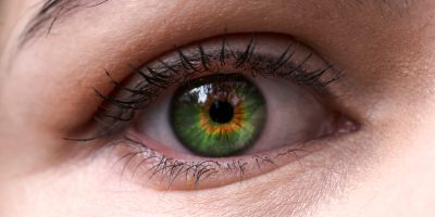 Column vader Armand - groene ogen vader en kind