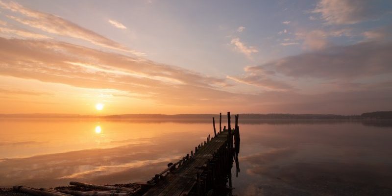 Vaderschap en verlies